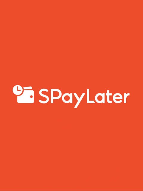 Spaylink Mini